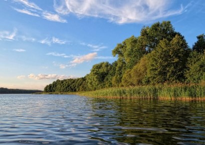 działka na sprzedaż - Szubin (gw), Wąsosz